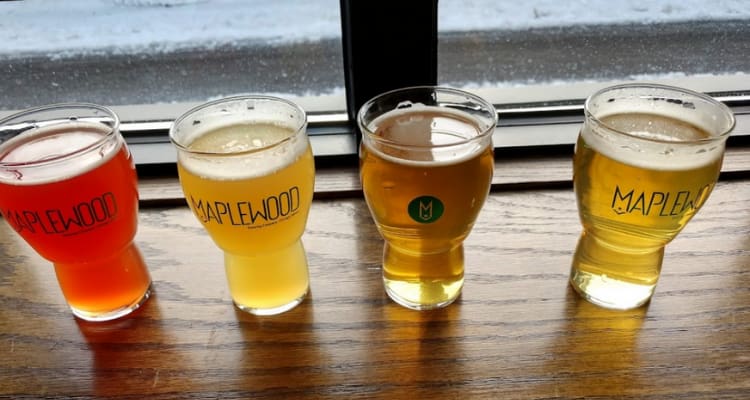 four beer glasses with the "maplewood" logo on them, filled with different colored beers